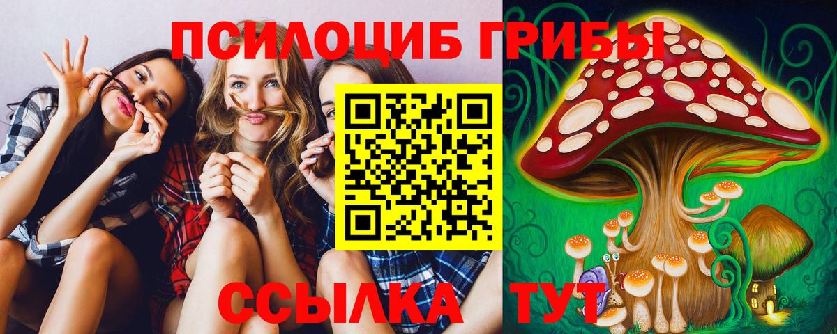 Псилоцибиновые грибы мухоморы Славянск-на-Кубани