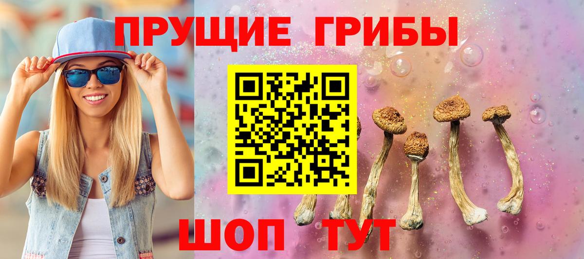 Псилоцибиновые грибы Cubensis  Галлюциногенные грибы Psilocybe  Славянск-на-Кубани  Вход с VPN 